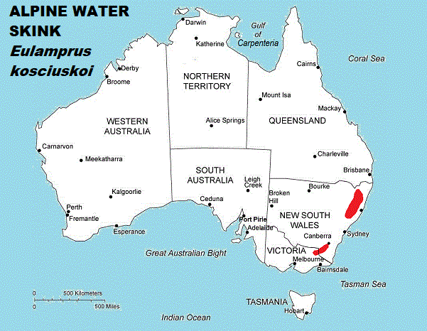 Approximate Distribution of the Alpine Water Skink Eulamprus kosciuskoi